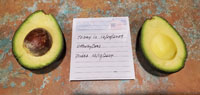 CadwayCado picked in December